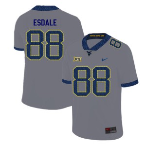 Men's West Virginia University #88 Isaiah Esdale Gray 2019 Official Jersey 474563-884
