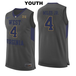 Youth Mountaineers #4 Daxter Miles Jr. Gray Embroidery Jersey 833173-422