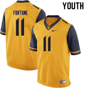 Youth Mountaineers #11 Nicktroy Fortune Gold Official Jersey 147903-637