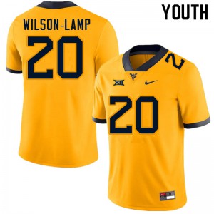 Youth West Virginia Mountaineers #20 Andrew Wilson-Lamp Gold College Jerseys 613925-677