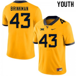 Youth West Virginia University #43 Austin Brinkman Gold Player Jersey 977300-826