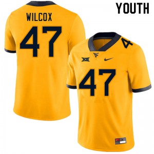 Youth West Virginia University #47 Avery Wilcox Gold Embroidery Jerseys 572701-347