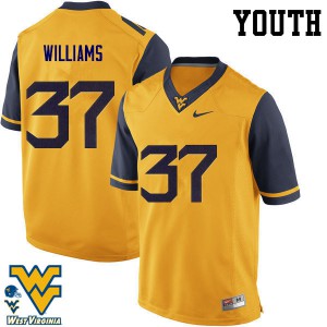 Youth Mountaineers #37 Kevin Williams Gold Football Jersey 992243-776