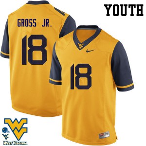 Youth West Virginia University #18 Marvin Gross Jr. Gold High School Jersey 485508-749