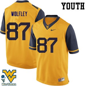 Youth WVU #87 Stone Wolfley Gold College Jersey 989151-319