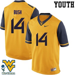 Youth West Virginia Mountaineers #14 Tevin Bush Gold High School Jersey 887734-378