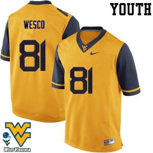 Youth Mountaineers #81 Trevon Wesco Gold NCAA Jersey 229747-710