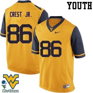 Youth West Virginia #86 William Crest Jr. Gold High School Jerseys 917723-277