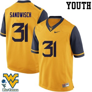 Youth West Virginia Mountaineers #31 Zach Sandwisch Gold University Jersey 823427-704